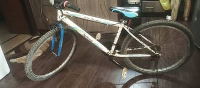 Turkish Cycle for 19000 price  / imported cycle