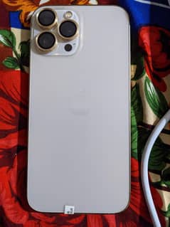 13 pro max