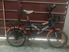 m2020 8,to10 Year child biscle