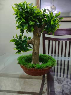 Artificial Plants
