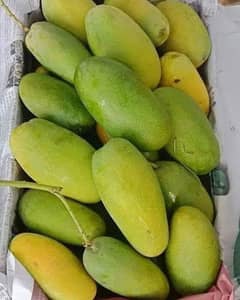 multani