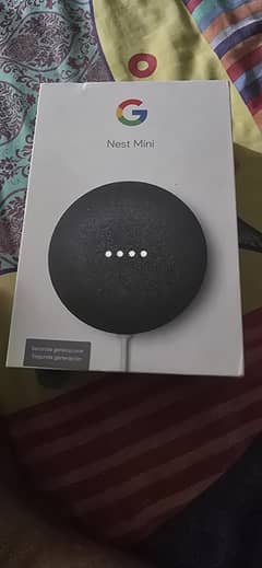 google mini nest