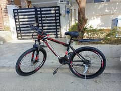 adult bicycle