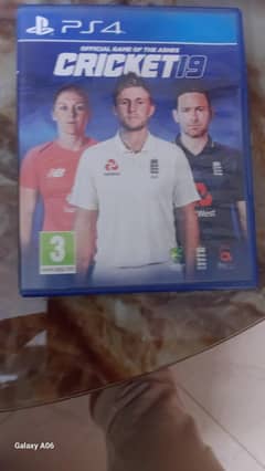 Cricket