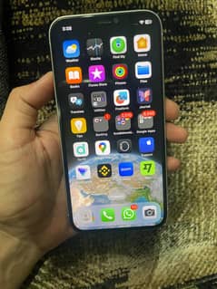 Apple iPhone 12 Pro