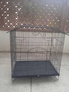 Parrot