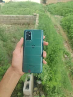 oneplus 8t 12/256 global