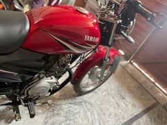 Yamaha