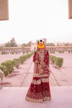 bridal lehenga