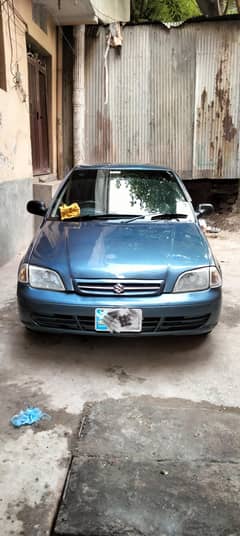 suzuki cultas