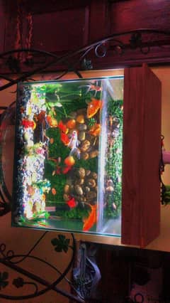 aquarium