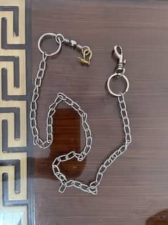 Alexandrine parrot chain