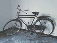 cycle available