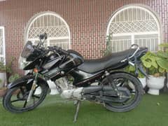 YBR