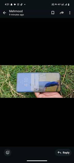 vivo
