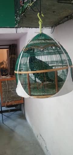 kuhati Tetaar