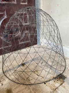 Cage for aseel