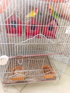 3pairs of love birds with large cage