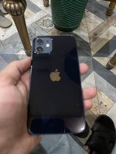 I phone12