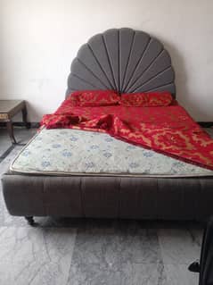 bed new Lia tha