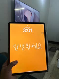 iPad Pro 12.9 Inch, 5th Generation