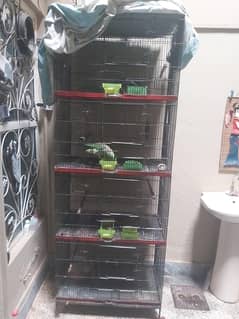 Cage for birds