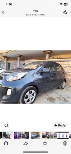 Picanti for sale