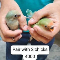 All