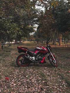 Honda Cb 150f