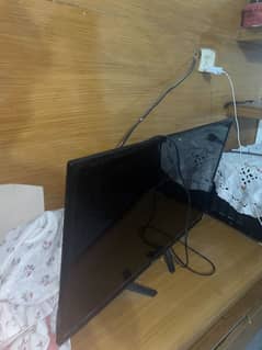 Oreint led for sale