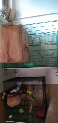bradar pair