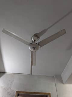 Ceiling