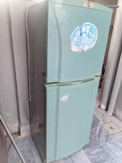 Pel Fridge