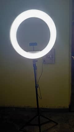 18 inc  Ring light with stand