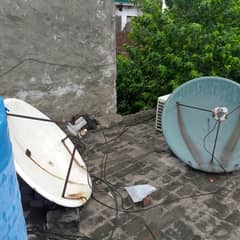 Dish Antennas