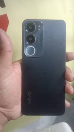 vivo mobile y 19s with warranty