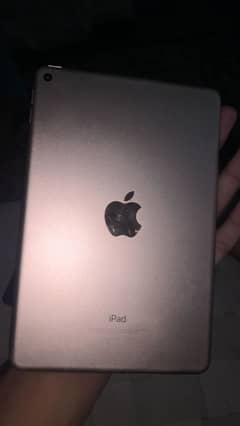 Ipad mini 5