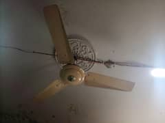 CEILING FAN