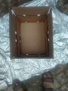 Carton