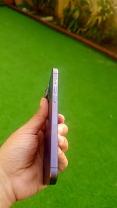 iPhone 14 Pro Max 128 PTA approved