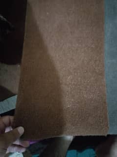 carpet