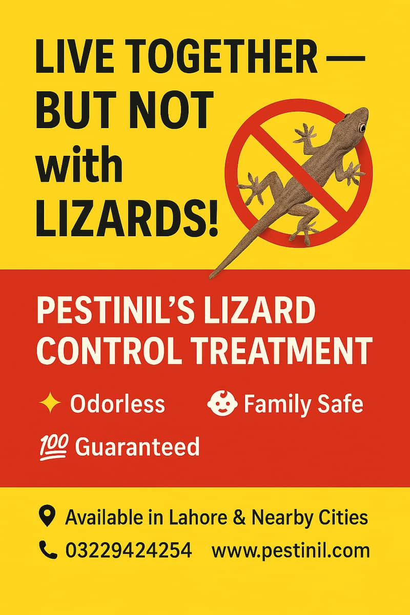 Lizard, Rat, Termite & Bed Bugs Control Services in Lahore 2