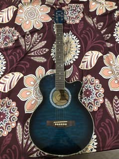 Semi Acoustic Guitar