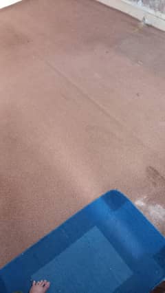 carpet
