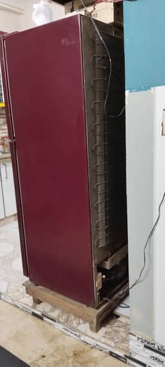 fridge / orient fridge