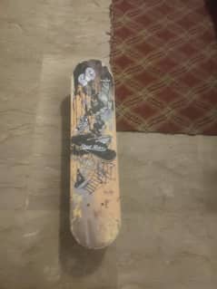 Skate bord large