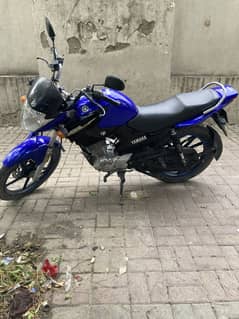 Ybr