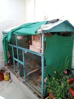 BIRDS CAGE