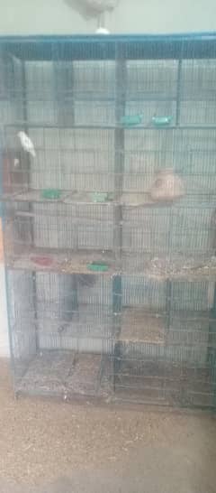 Cage1