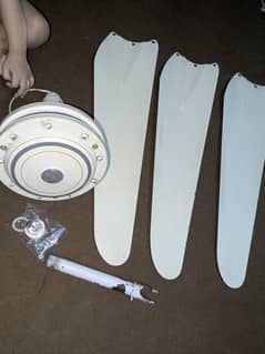 Fan